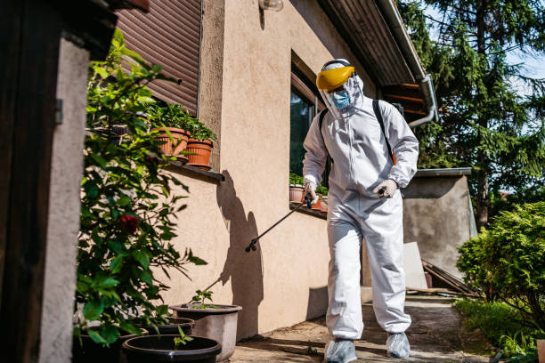 Best Residential Pest Control  in Pixley, CA