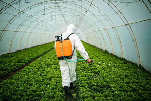 Best Pest Removal Services  in Pixley, CA
