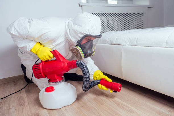 Best Flea Control Services  in Pixley, CA