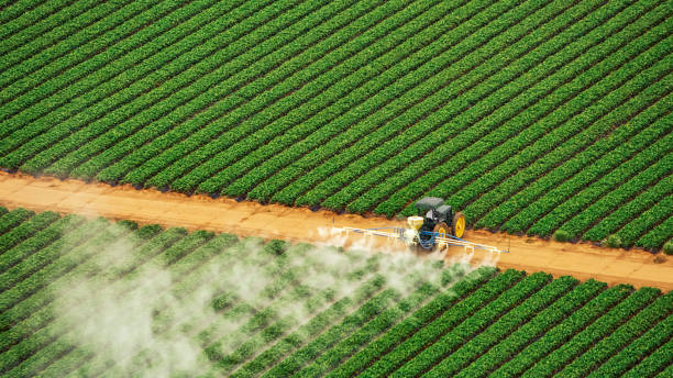 Insect Control in Pixley, CA