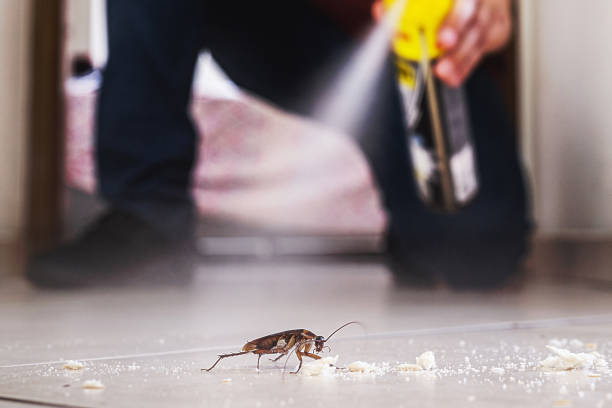 Reliable Pixley, CA Pest Control Solutions
