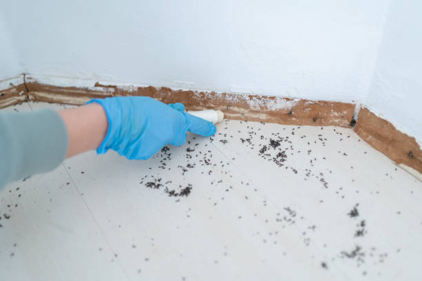 Best Wildlife Control Services  in Pixley, CA